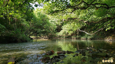電子五哥ESG成效 研調：廣達位居首位