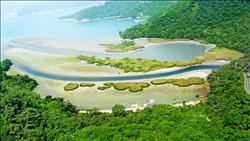 清淤影響觀光 日月潭陷兩難