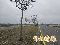 彰化3姊弟車禍2命危 陳建仁宣布美港公路高架化