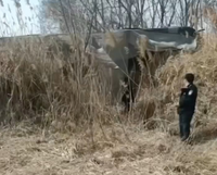 悚！3國中生殘殺同學 鐵鍬砸爛臉埋屍荒地