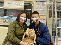 寵物友善列車「貓狗共乘」惹議急喊卡 北捷：貓狗將分開