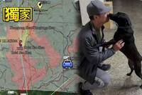 獨家》登山好手三峽猴洞滑墜身亡 愛犬護屍4天搜救鐵漢也動容