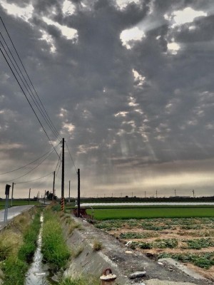 就是這個光！大甲媽溪州現聖光