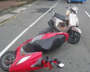 兩機車犁田 肇事元凶竟是逛大街的烏龜