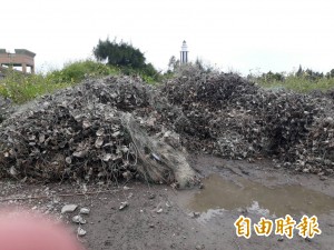 維護生態 王功漁民發起「自己的漁網自己收」活動