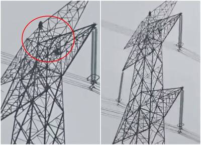 情侶吵架！ 女子怒爬「25公尺高壓電塔」 男友緊跟爬上畫面曝