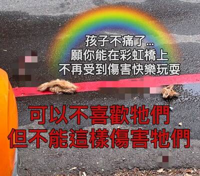 新竹流浪貓慘遭分屍  7隻大型犬是凶手
