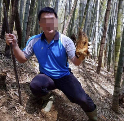 涉強制猥褻女學生 南投縣小學校長劉育成被解聘永不錄用