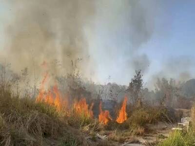 從白天燒到晚上！彰市製藥廠後方山區大火 燒毀3千平方公尺