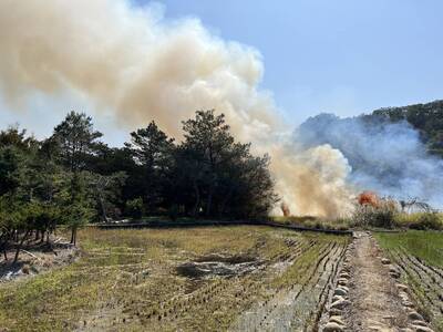1天21件雜草火災 苗縣消防員疲於奔命