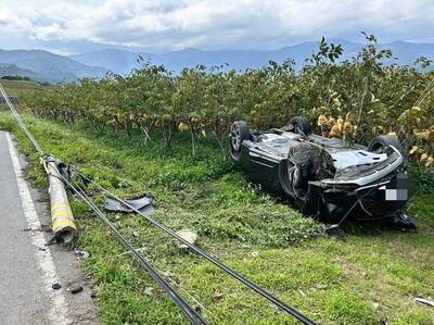 鹿野農會總幹事陳正笙酒駕撞車撞斷電桿 翻車衝進釋迦園