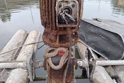 南蛇受困魚塭  專家「空中」救援   