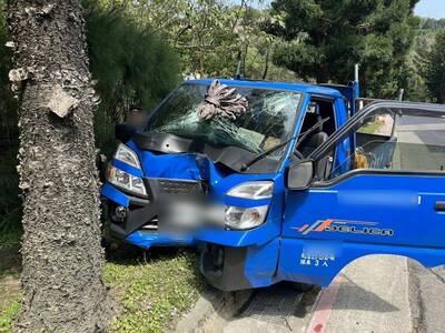 送貨員吃感冒藥昏昏欲睡 自撞路樹頭破血流