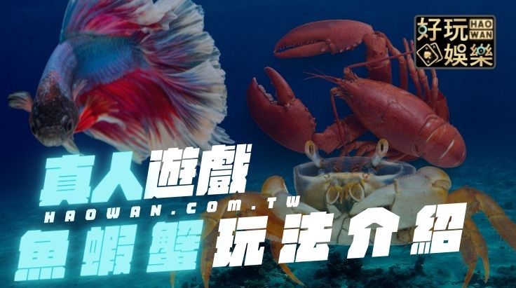 魚蝦蟹,魚蝦蟹玩法教學